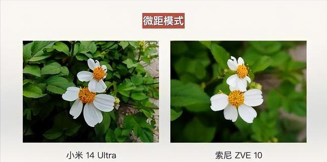 占比97％再看中国海信差距太大了j9国际站日本电视市场现状！索尼(图16)